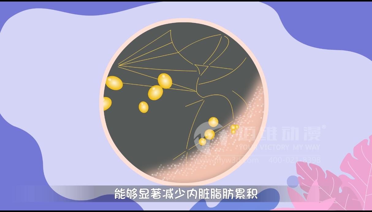 MG動畫，邁維動漫.jpg